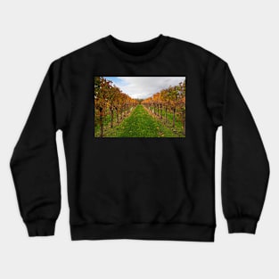 Autumn Grape Vines in North East Italy Crewneck Sweatshirt